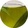 Viome - Green Tea Extract Icon