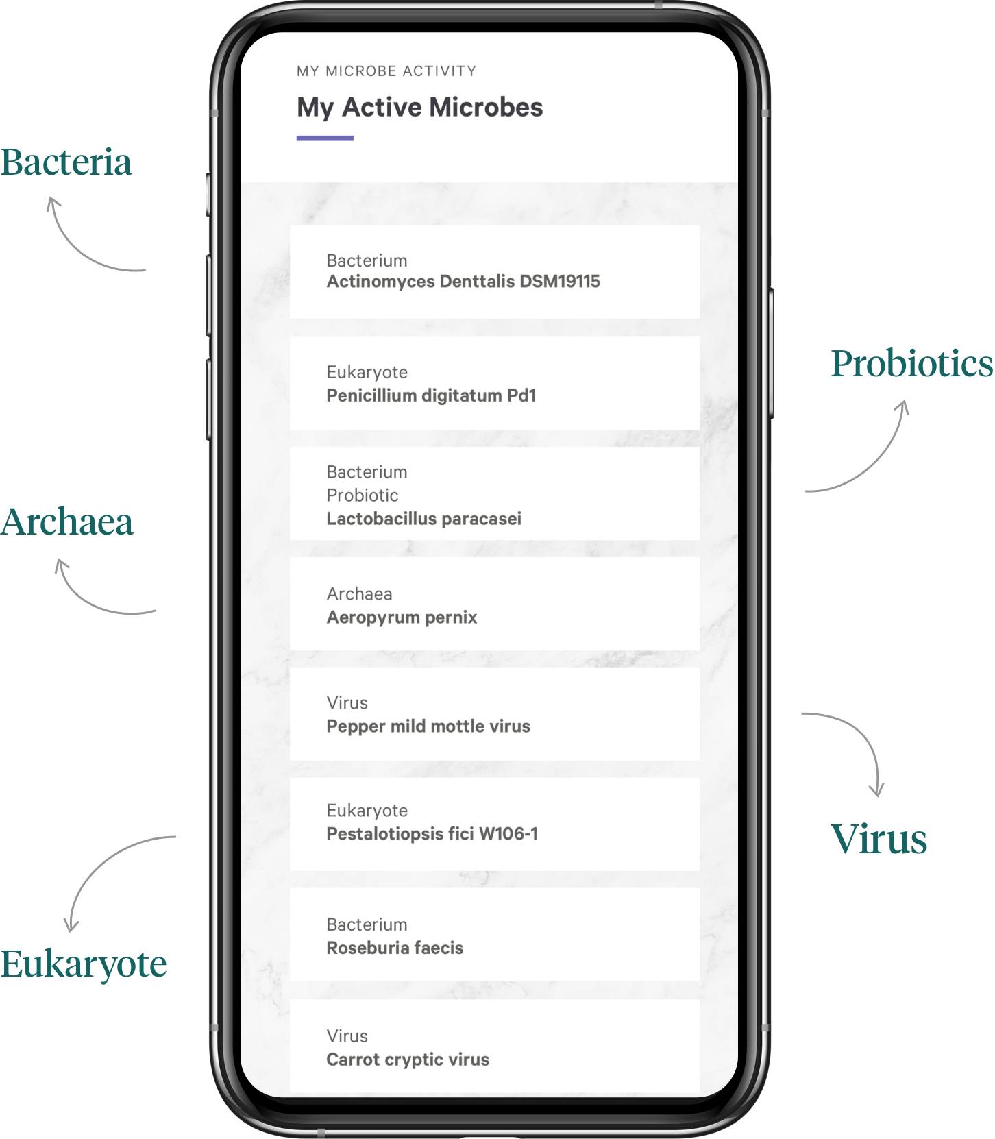 Phone Screenshot - microbial world