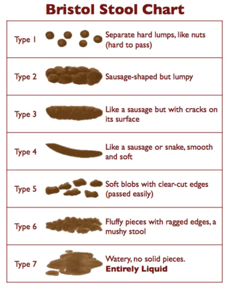 What Your Poop Says About You | Viome