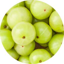 Viome - Amla Fruit Extract