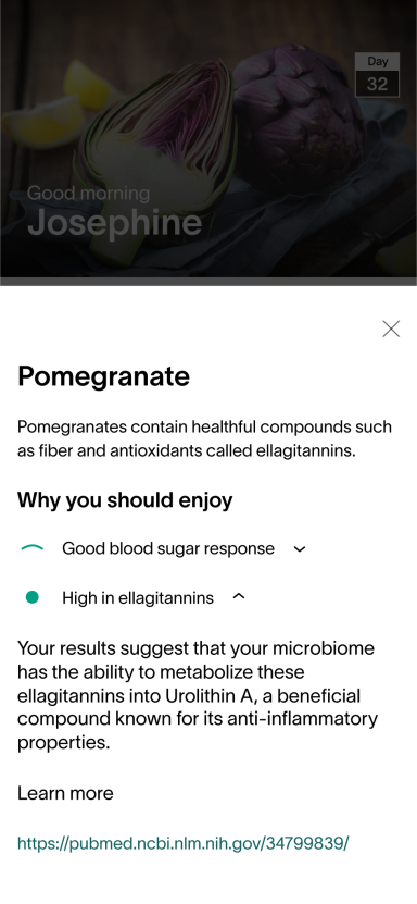 App Screen - Pomegranate