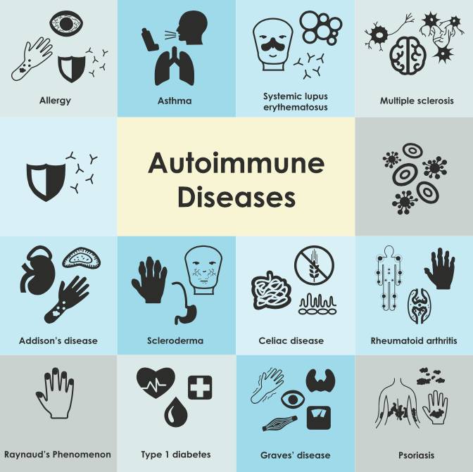 autoimmune diseases tied to gut health
