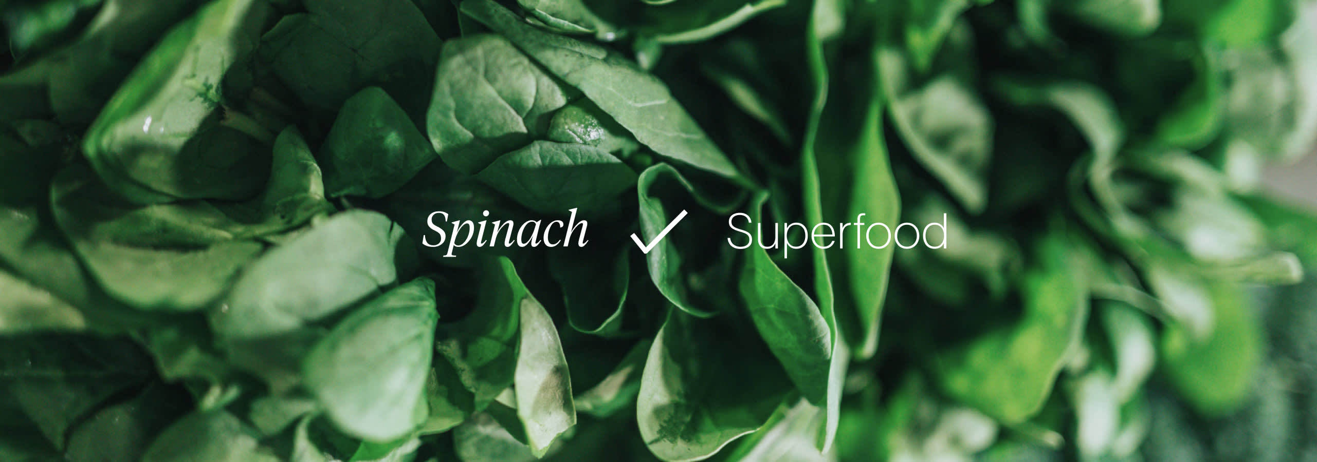 [FBI 3.0] Spinach Background