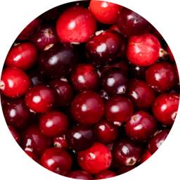 Viome - Cranberry Extract
