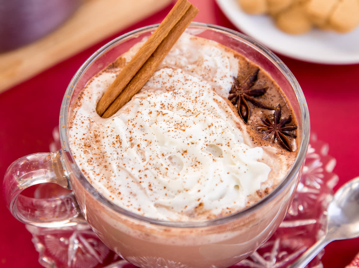 Spicy Gingerbread Hot Cocoa (1 of 4)