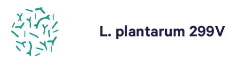 11-l-plantarum-299v